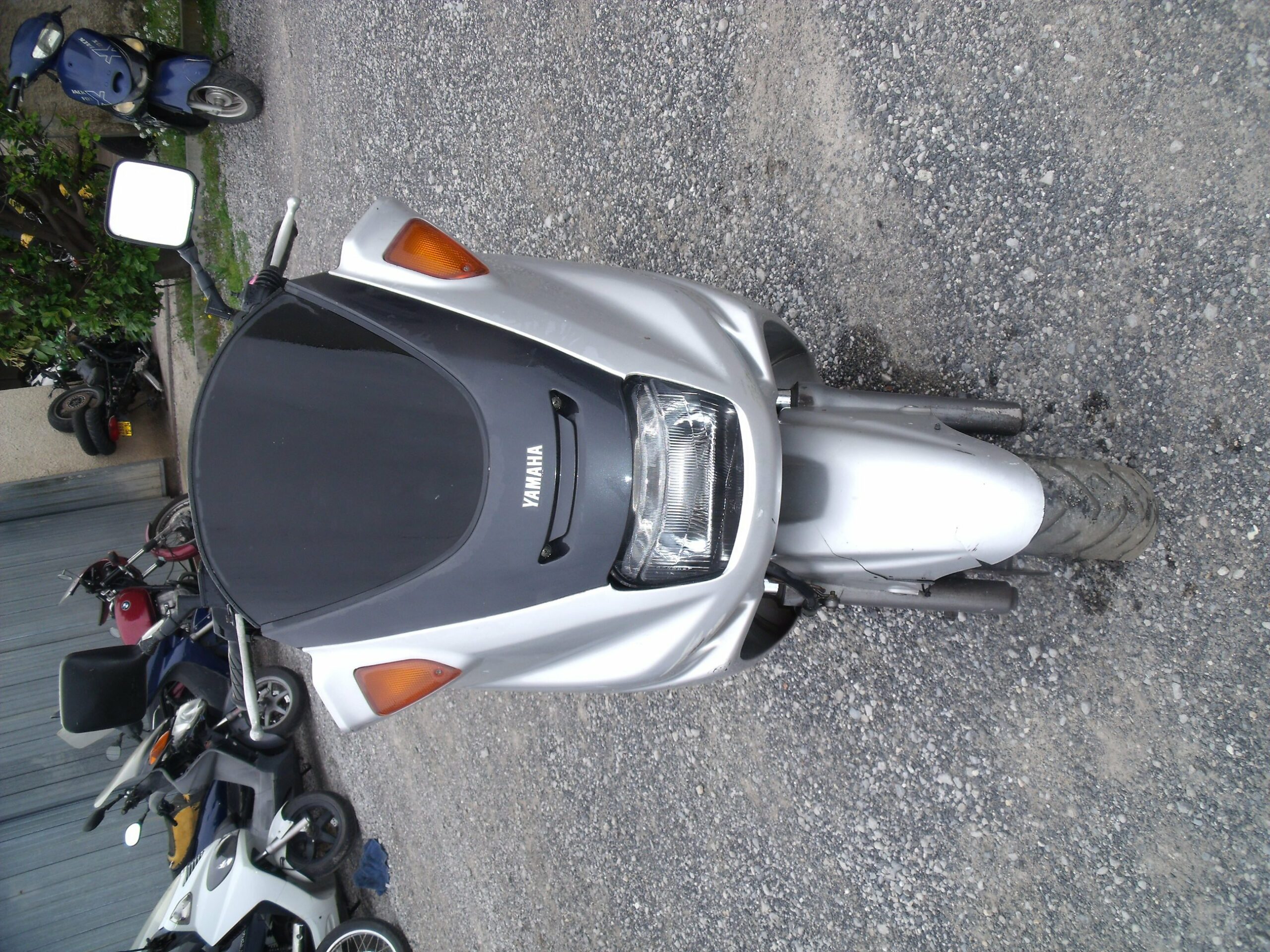 Yamaha 125 Majesty(SCOPPYAM125MAJESTY-1) (2)