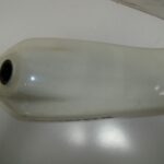 PHON50CAMINORESE-1 (6)