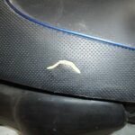 PPEU50VIVACITYSELCOF-1 (5)