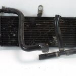 PAPR125REPLICARADIA-1 (2)