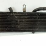 PAPR125REPLICARADIA-1 (3)