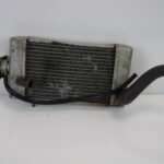 PRIE50RADIA-1 (3)