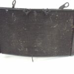 PYAM1000FZ1RADIA-1 (2)