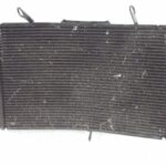 PYAM1000FZ1RADIA-1 (3)