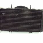 PYAM900TDMRADIA-1 (1)