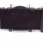 PYAM900TDMRADIA-1 (2)