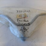 GUIDON BOOSTER 50 (2)